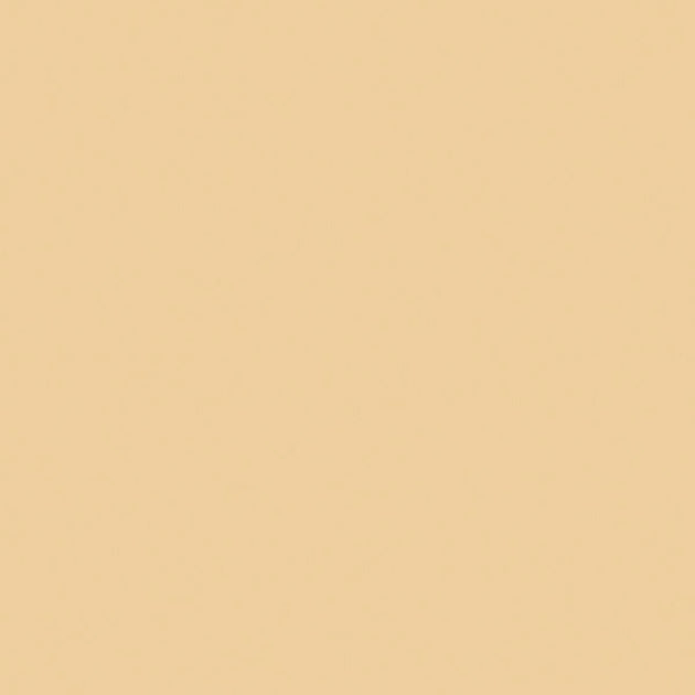 Warm Beige swatch