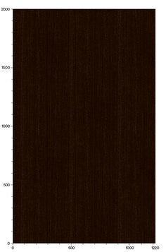 3M DI-NOC Wood Finish - Wood Grain WG-1373