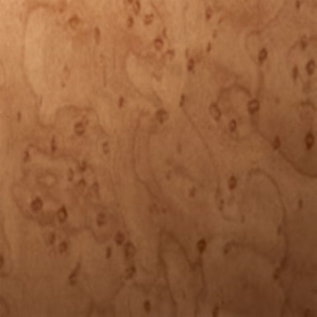 Close-up of a brown leather texture with visible grain and pores.