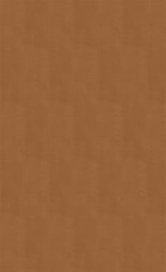 Solid brown color swatch