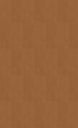 Solid brown color swatch
