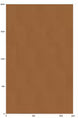 Solid brown color swatch