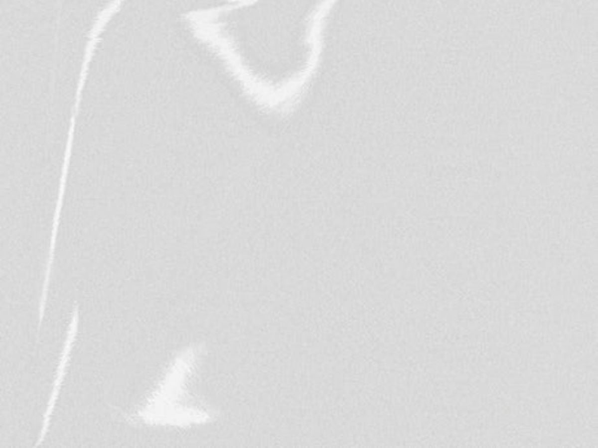 2409 reflective White 