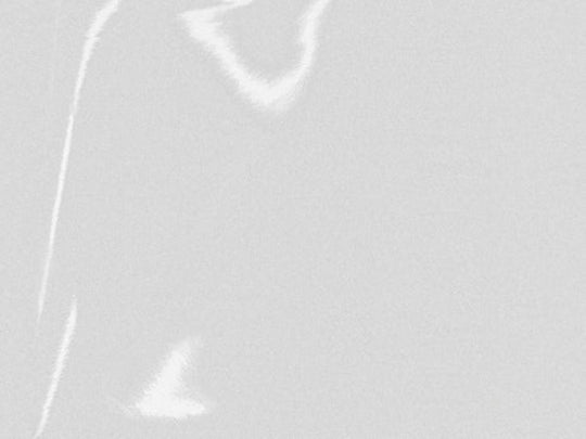 2409 reflective White 