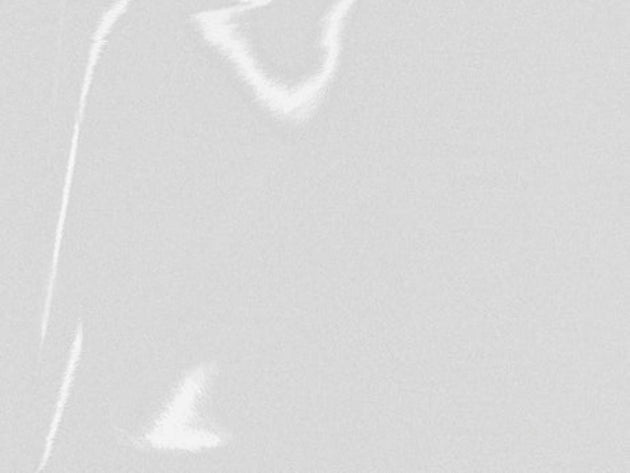 2409 reflective White 