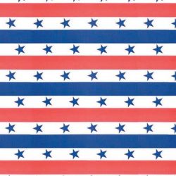 Fadeless Bulletin Board Designs 48" x 50 ft - Patroitic Stripes