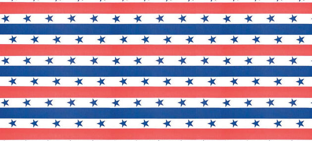 Fadeless Bulletin Board Designs 48" x 50 ft - Patroitic Stripes banner