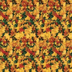 Fadeless Bulletin Board Designs 48" x 50 ft - Leaves