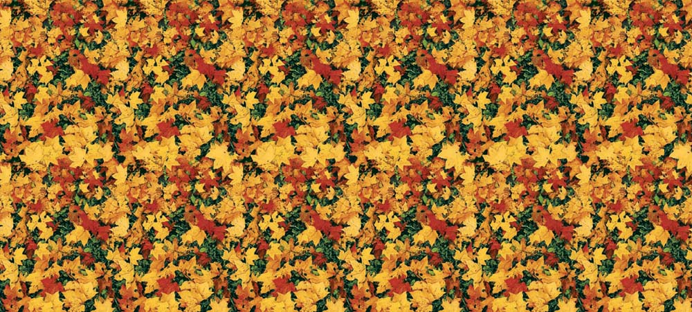 Fadeless Bulletin Board Designs 48" x 50 ft - Leaves banner