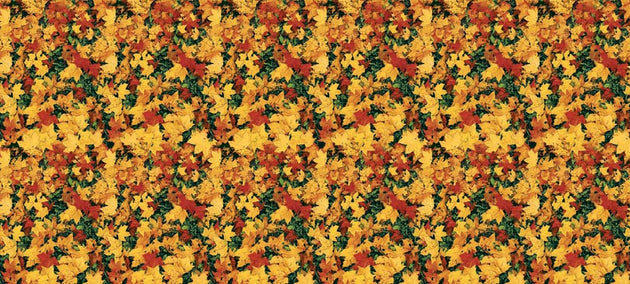 Fadeless Bulletin Board Designs 48" x 50 ft - Leaves banner