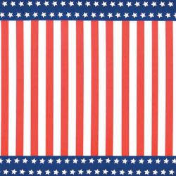 Fadeless Bulletin Board Designs 48" x 50 ft - Stars and Stripes
