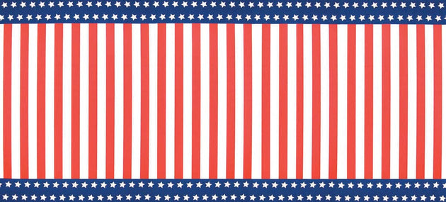 Fadeless Bulletin Board Designs 48" x 50 ft - Stars and Stripes banner