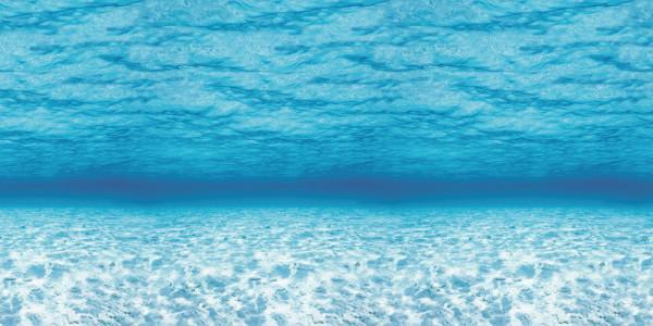 Fadeless Bulletin Board Paper Roll 48" x 50 ft Under The Sea